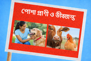 পোষা প্রাণী ও জীবজন্ত