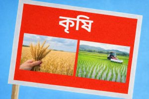 কৃষি পণ্য